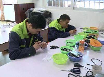 振奮人心 | 東興區殘疾人就業創業正當時！